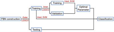 Adaptive noise depression for functional brain network estimation